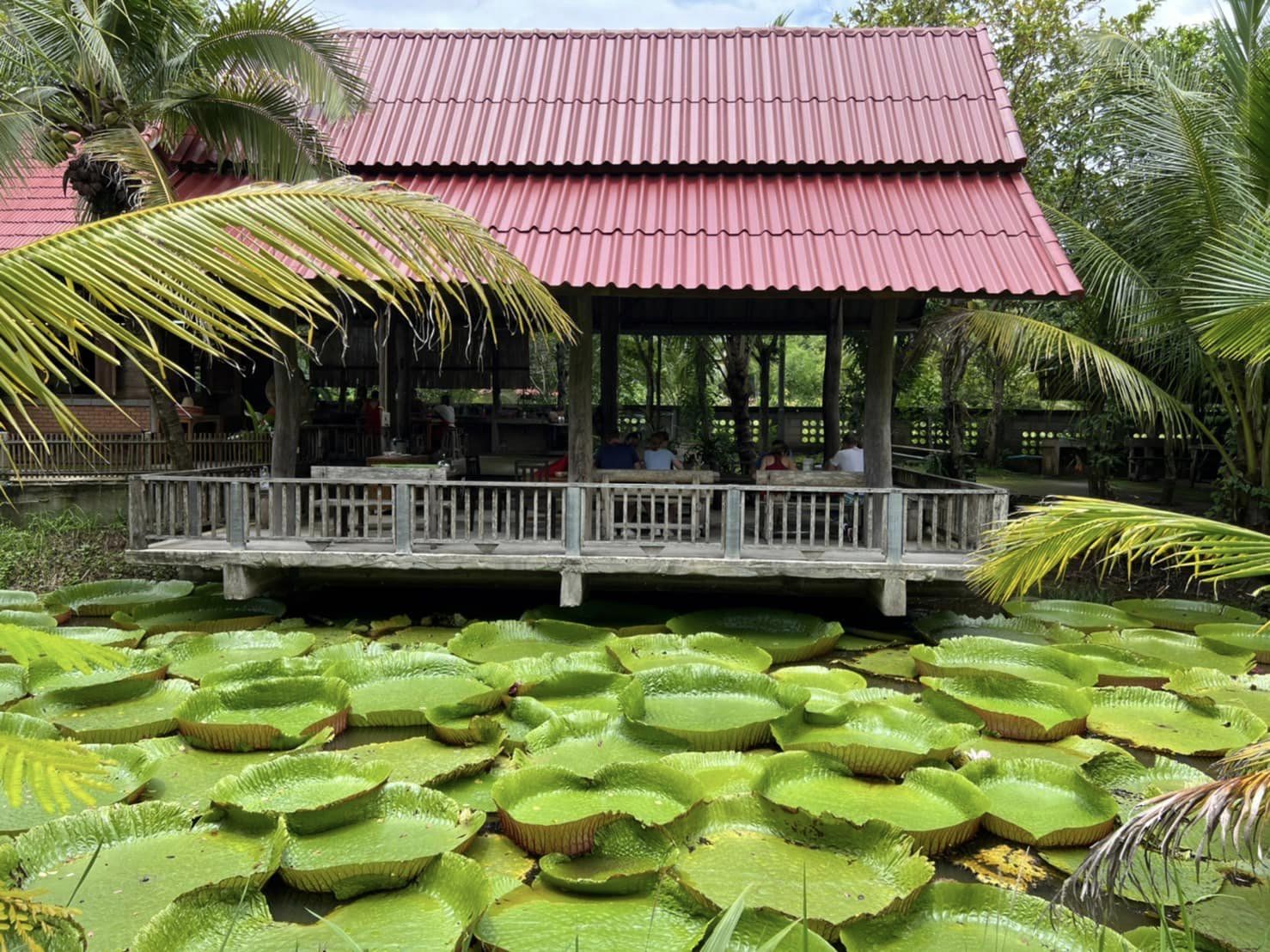 thai cooking classes,thai cooking school
