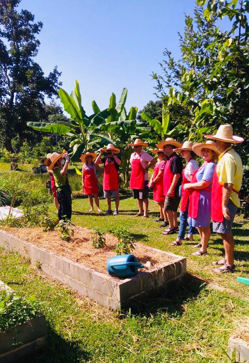 thai cooking classes,thai cooking school