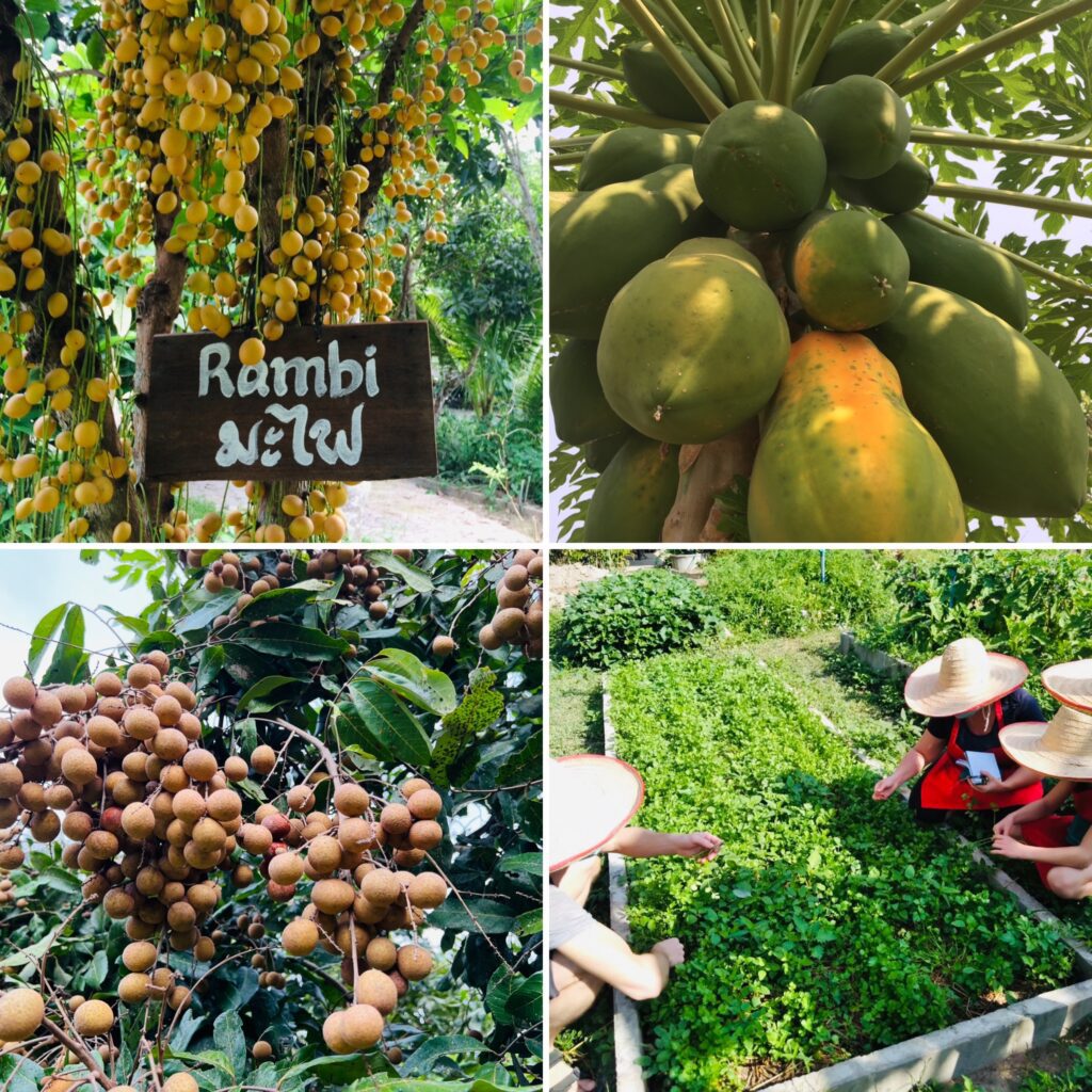 thai cooking classes,thai cooking school