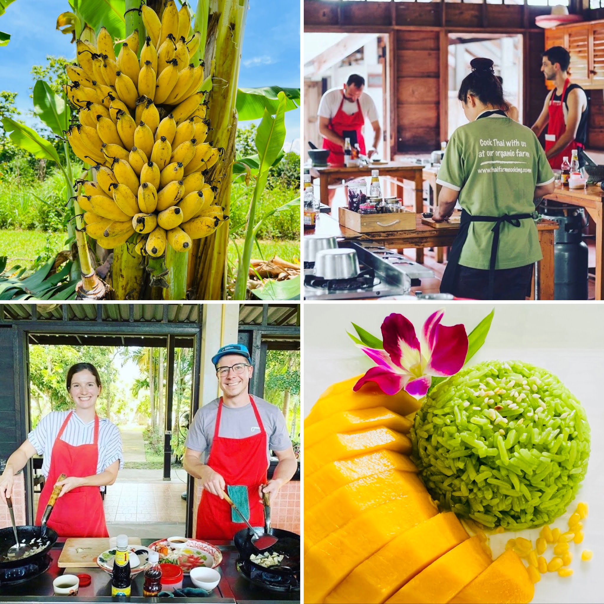 thai cooking classes,thai cooking school