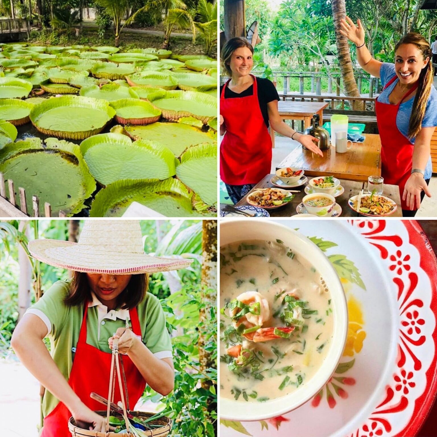 The First And Original Thai Cooking School An Organic Farm