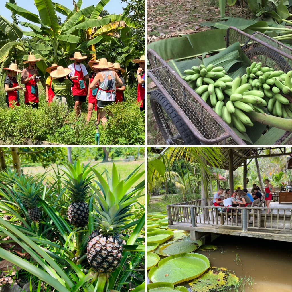 thai cooking classes,thai cooking school