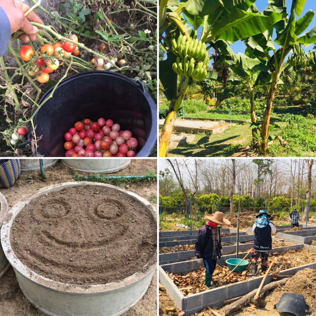 thai cooking classes,thai cooking school