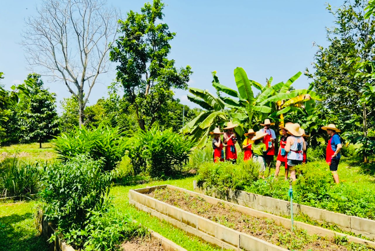 thai cooking classes,thai cooking school