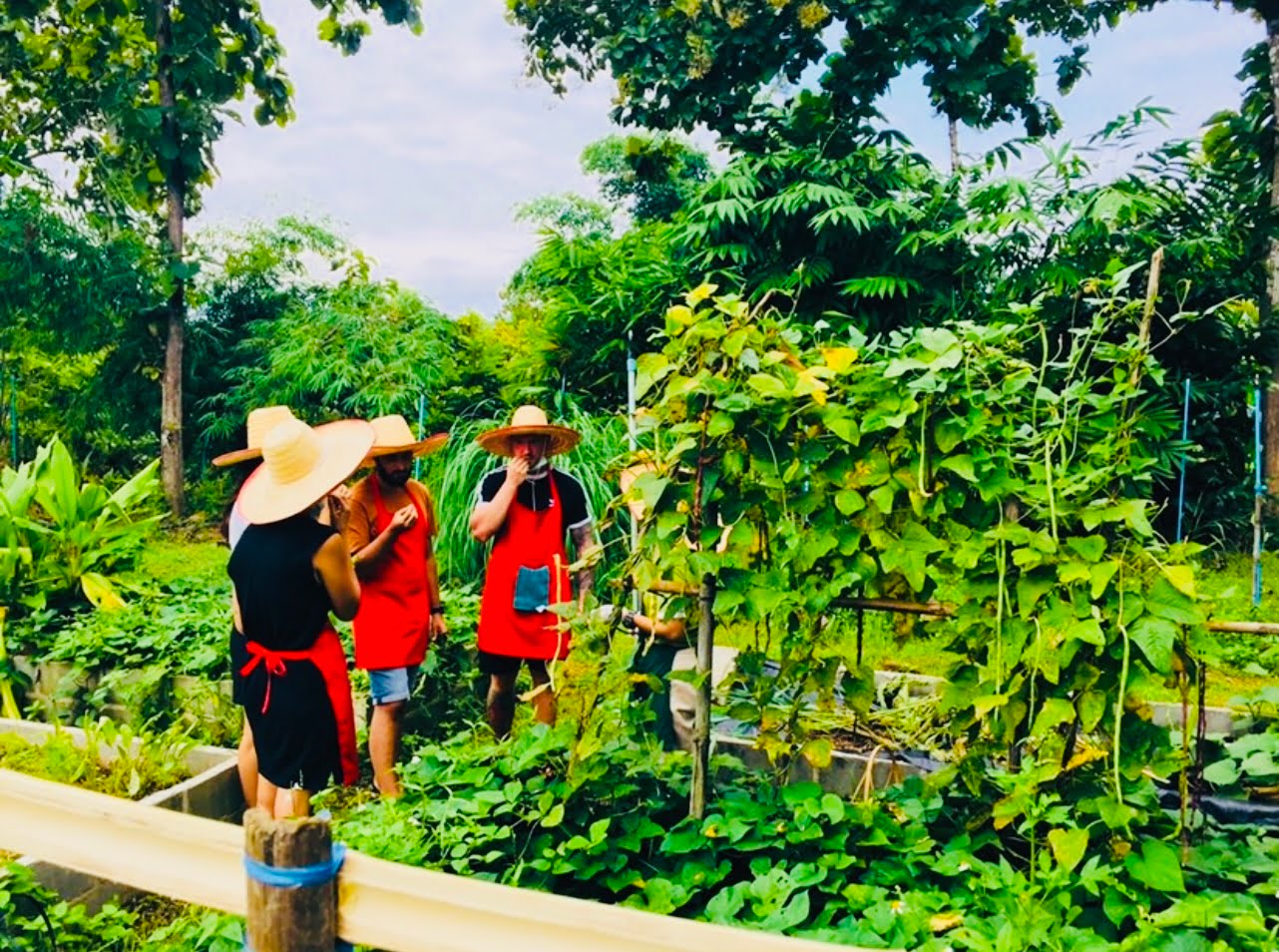 thai cooking classes,thai cooking school