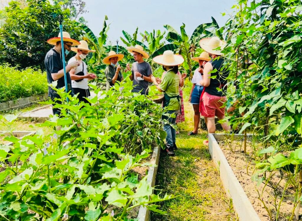 Thai Farm Cooking School