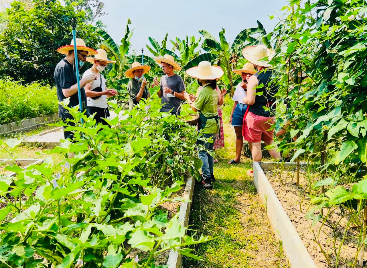thai cooking classes,thai cooking school