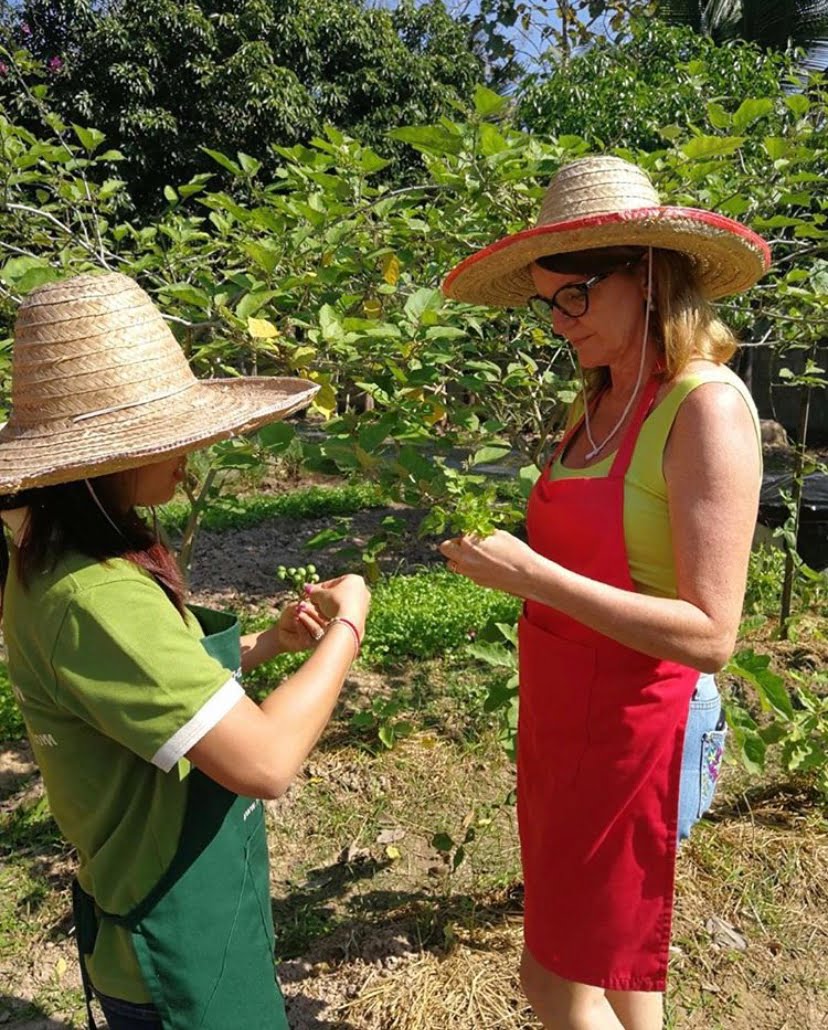 thai cooking classes,thai cooking school