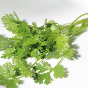 thai cooking classes,thai cooking school