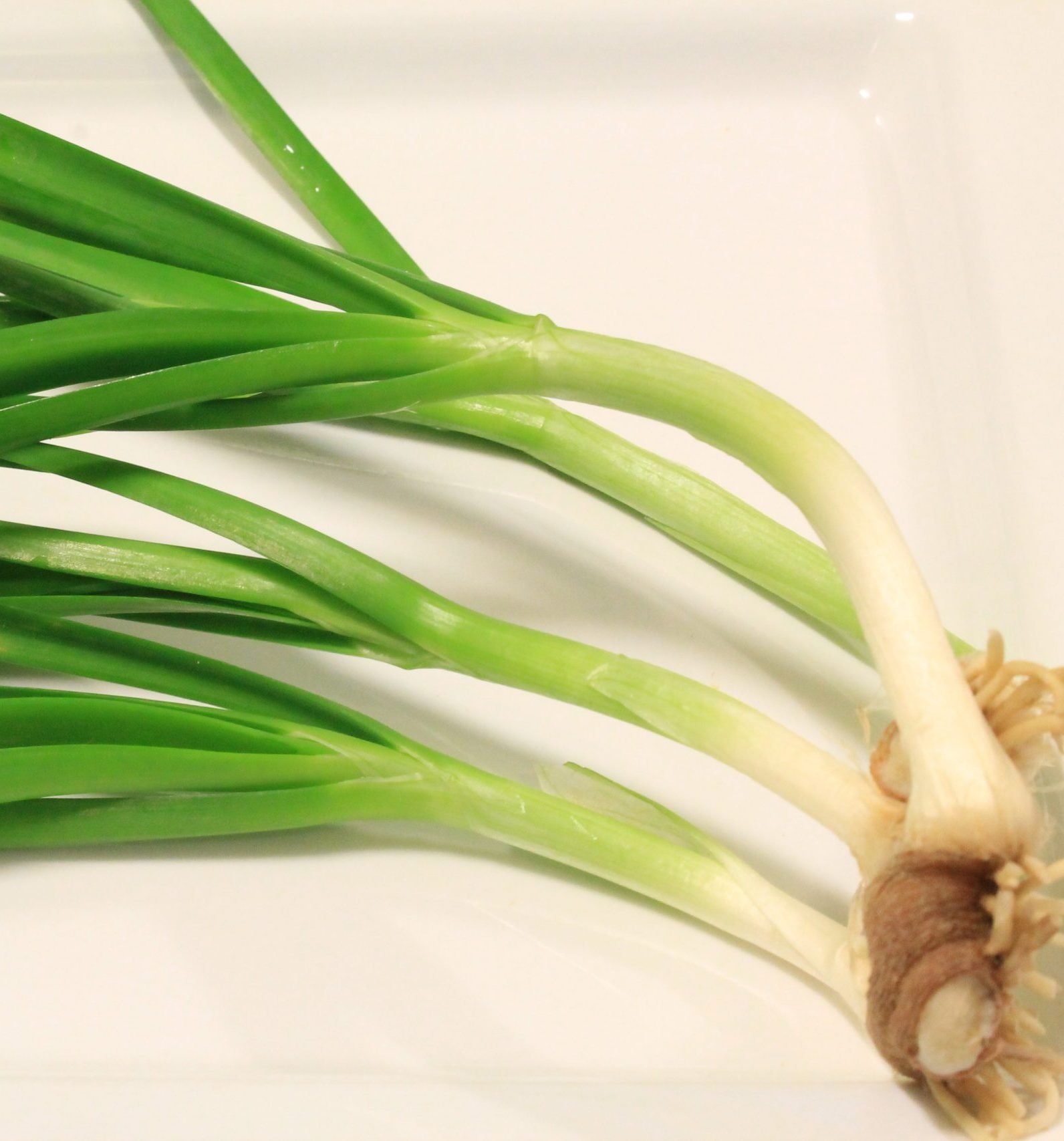 thai cooking classes,thai cooking school